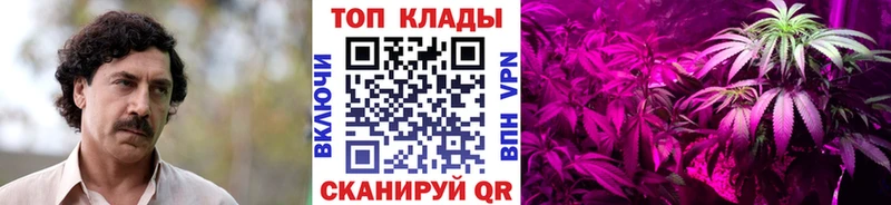 Меф Зеленоградск