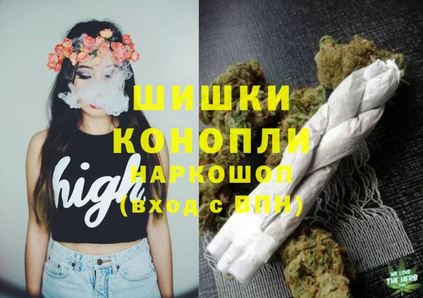 дмт Белокуриха