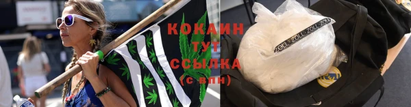 молекула духа Белоозёрский