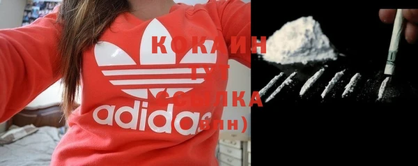 дмт Белокуриха