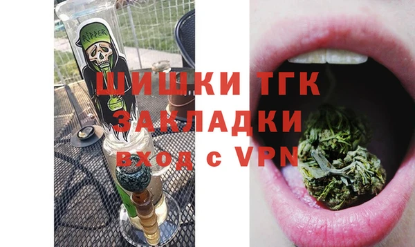 молекула духа Белоозёрский