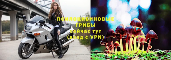 дмт Белокуриха