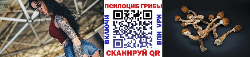 Псилоцибиновые грибы мицелий площадка состав Зеленоградск наркотики